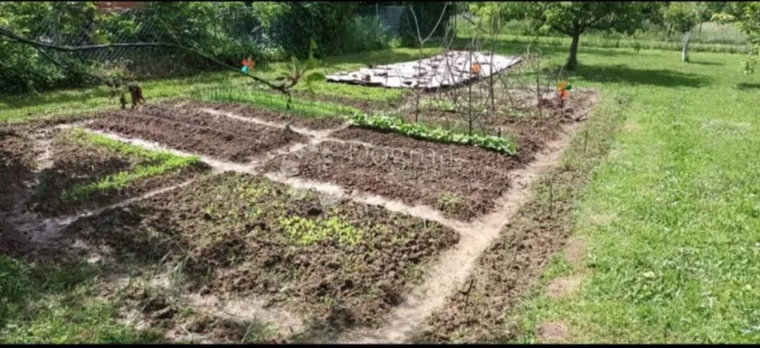 sanjiva vikendica na savršenoj lokaciji - tavanac - slika 12