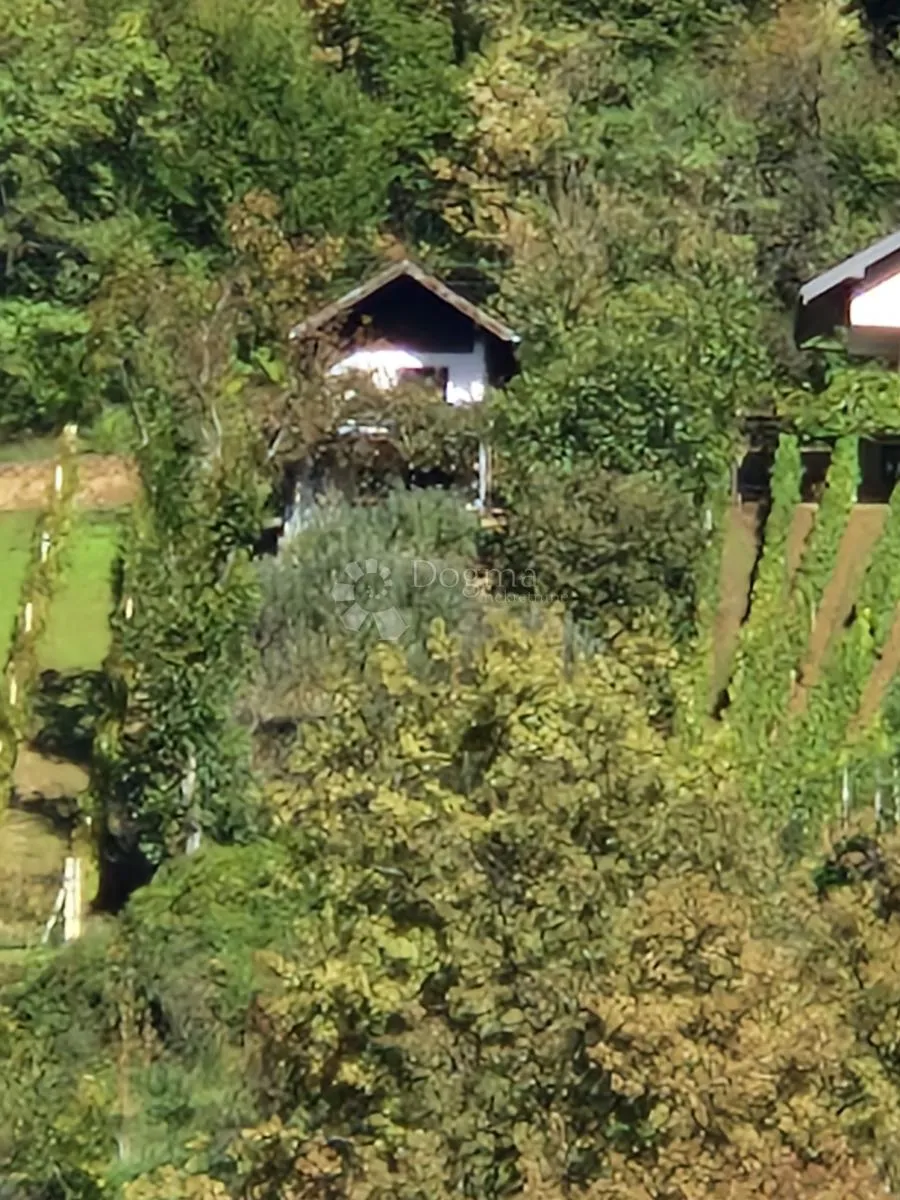 vikendica s prekrasnim pogledom, vinogradom i voćnjakom – idealna oaza mira - slika 15