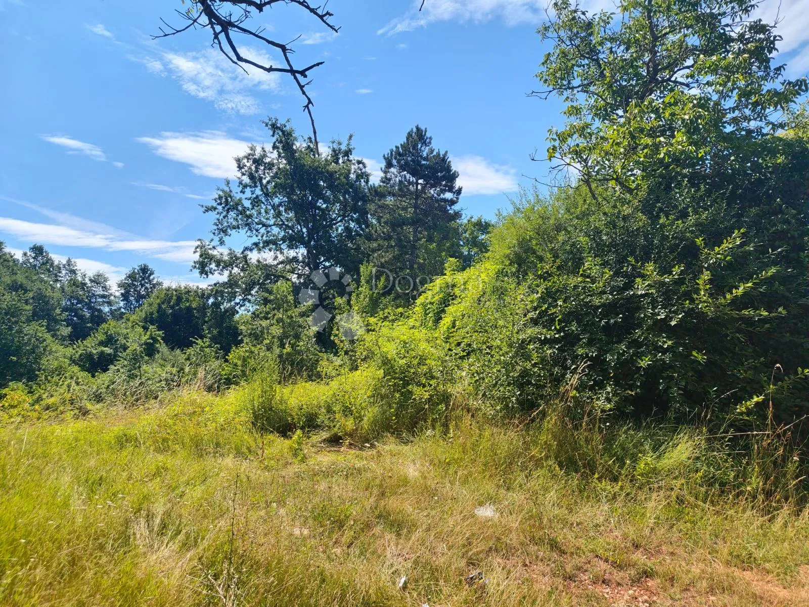 građevinsko zemljište s infrastrukturom, 2290 m² okolica pazina - slika 3