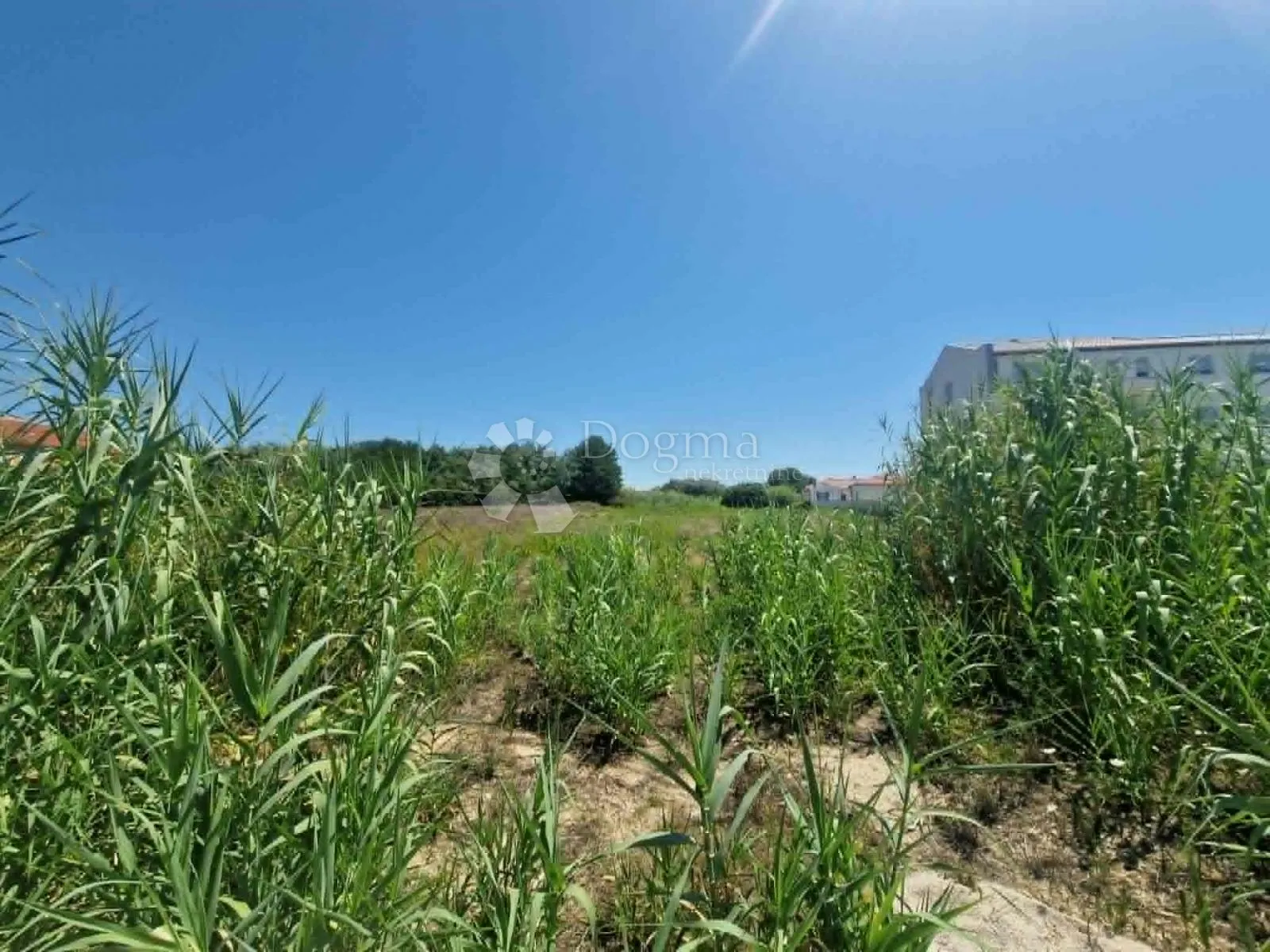 privlaka - građevinsko zemljište 2513 m2 - slika 2