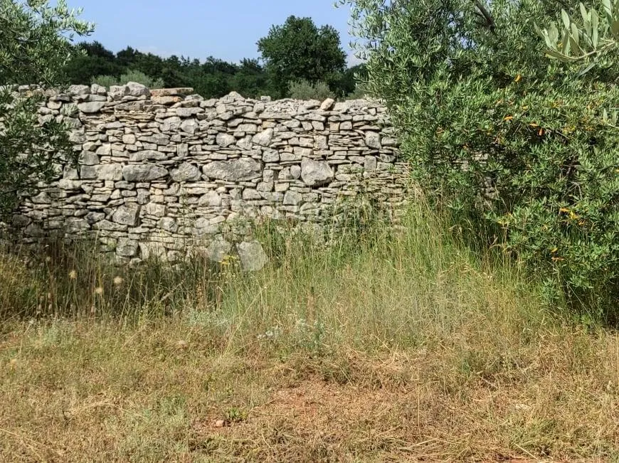 prekrasna stancija u okolici pule, s 10000 m² urbaniziranog zemljišta - slika 61