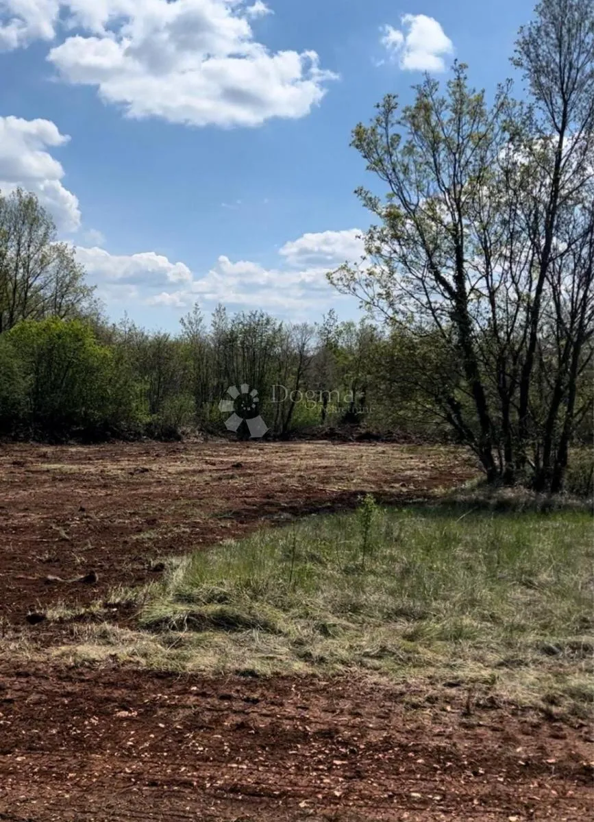 tinjan - odlična građevinska parcela, 855 m², pravilnog oblika - slika 4