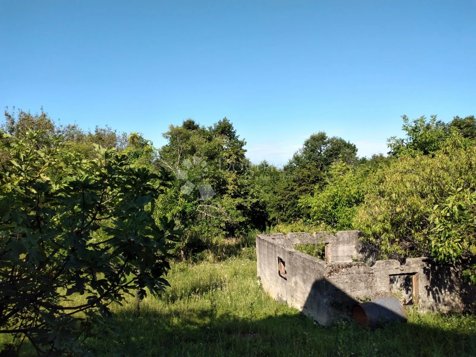 2 odlične kuće, 7ha, mali raj - slika 14