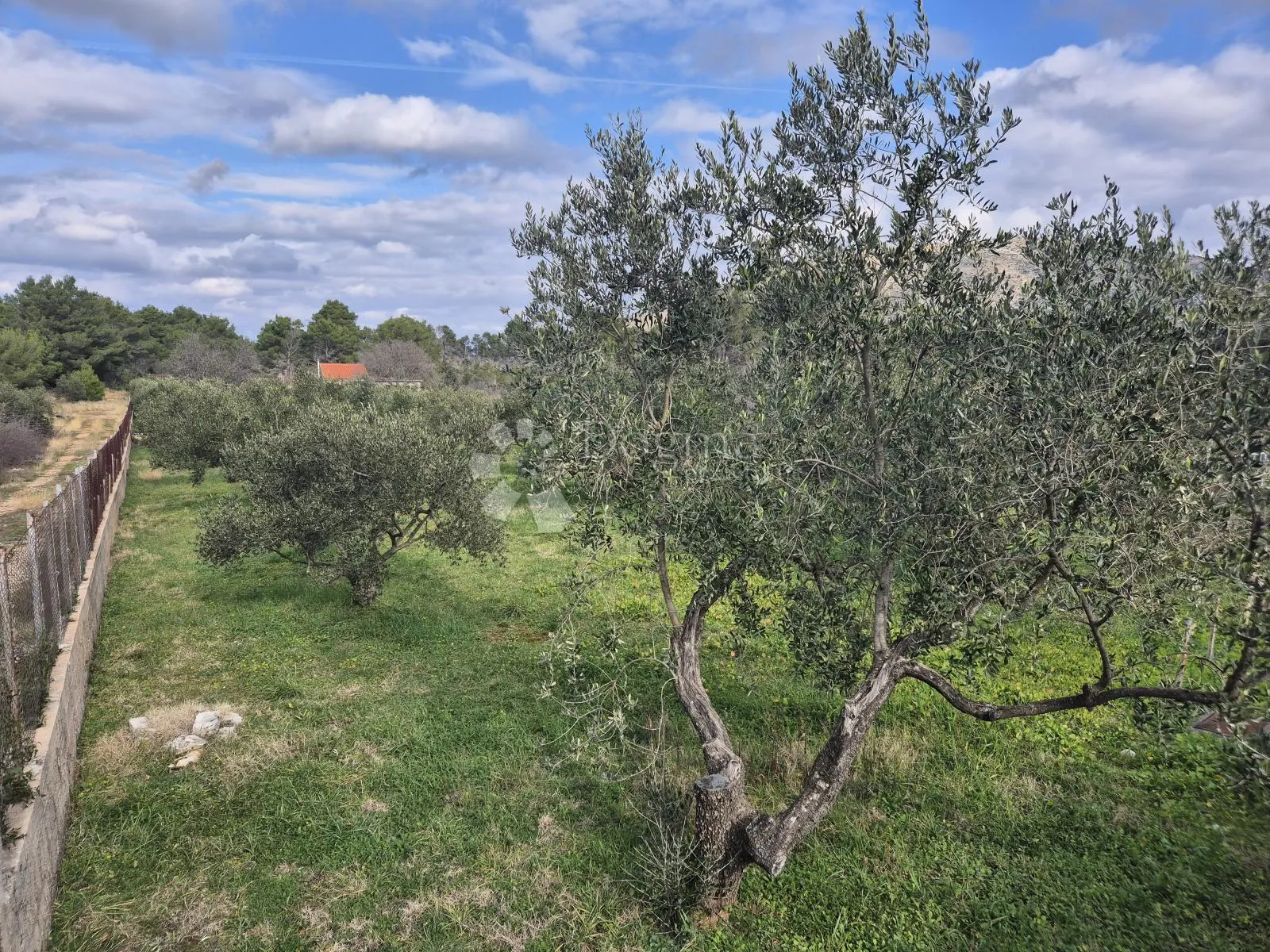 bilice - građevinsko zemljište u blizini šibenika - slika 13