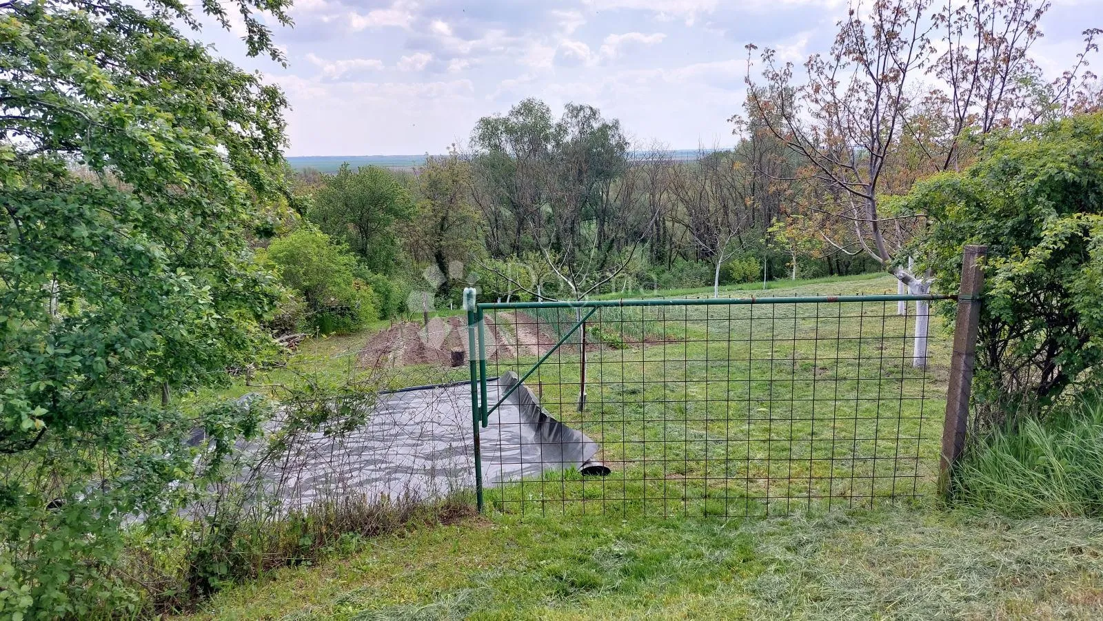 ograđen voćnjak s nasadom oraha i lješnjaka! - slika 6