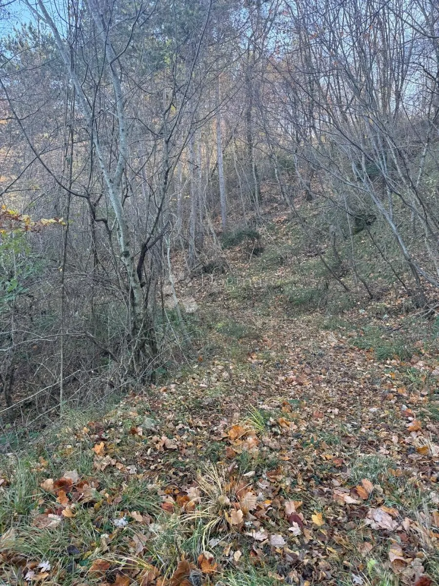 istra draguć poljoprivredni teren - slika 3