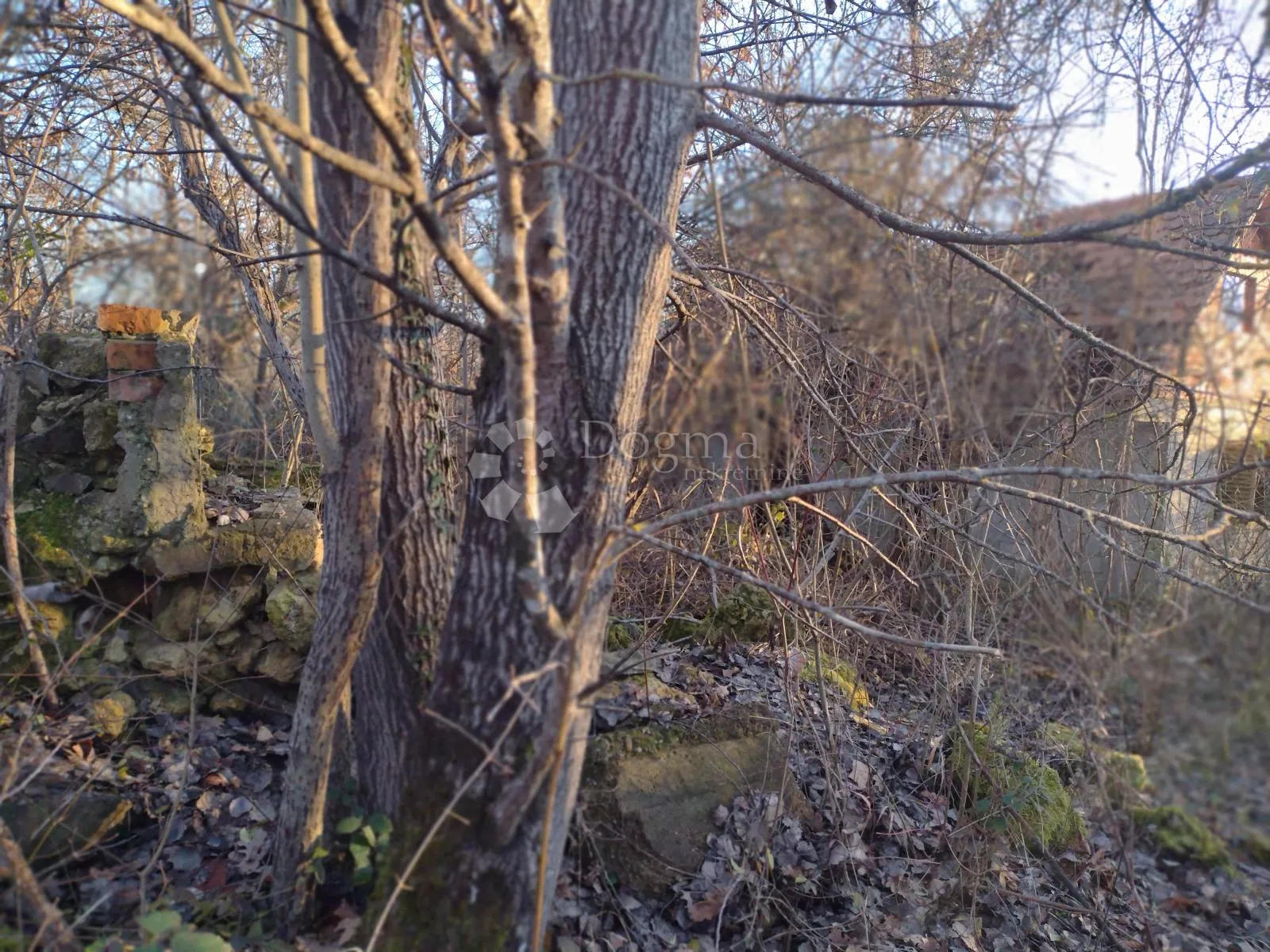 1690m2 građeviskog, 6.7ha poljoprivrednog - slika 5