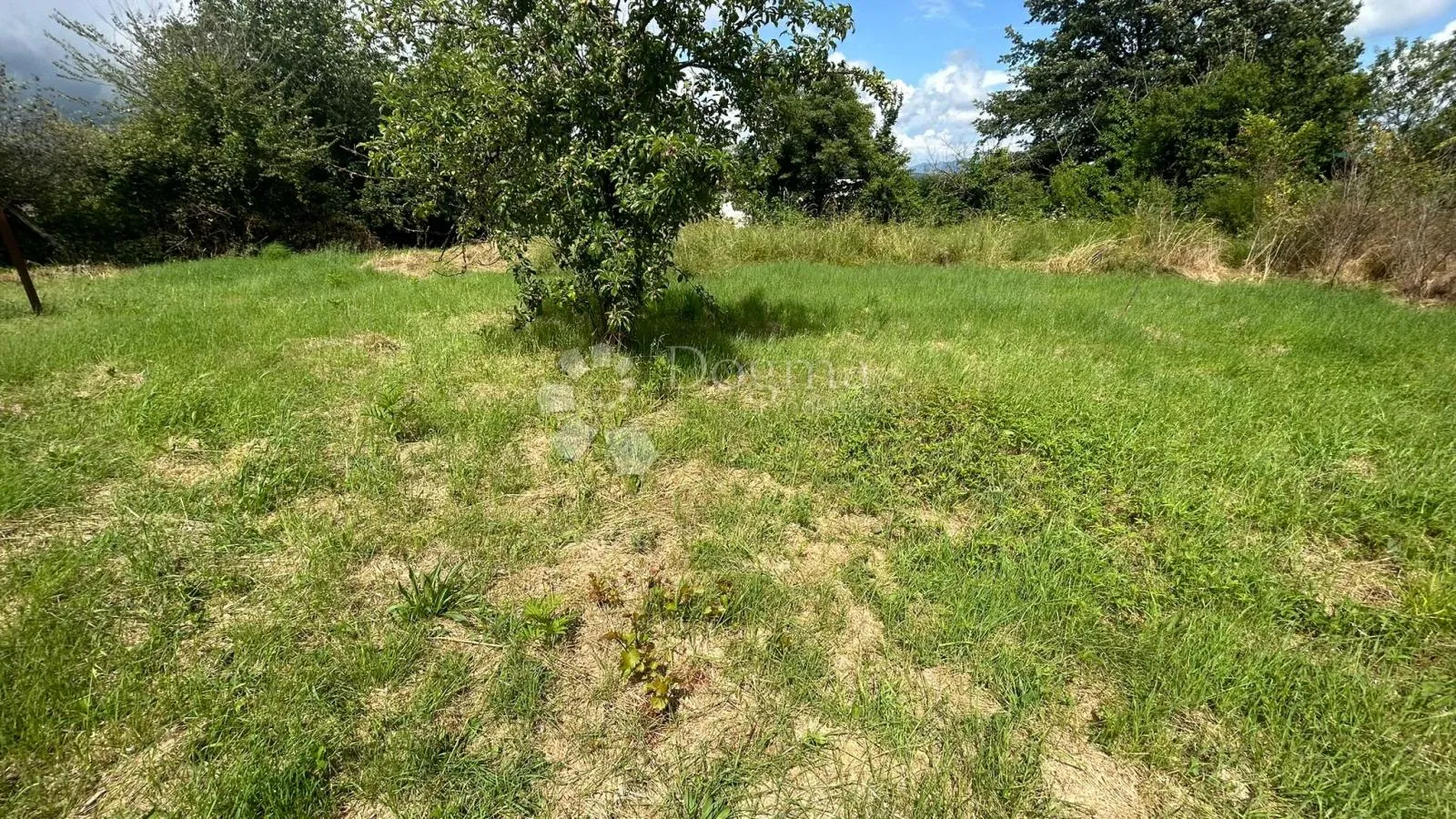 kuća za renovaciju s građevinskim zemljištem - barban - slika 21