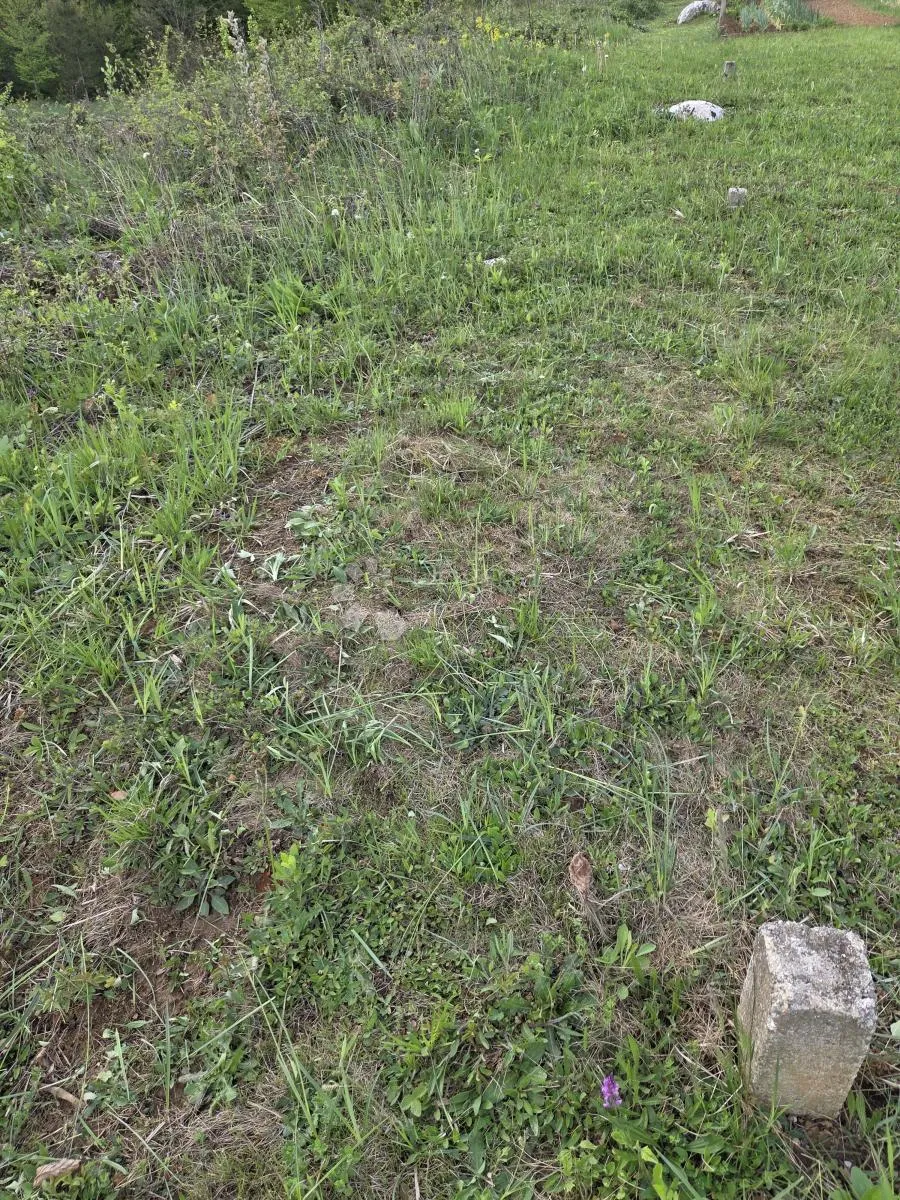 gornji zvečaj do mrežnice građevinsko zemljište - slika 8