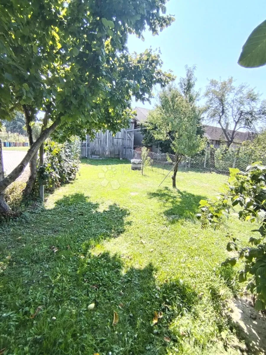 šarmantna kuća s okućnicom i dodatnim objektima – budančevica - slika 18