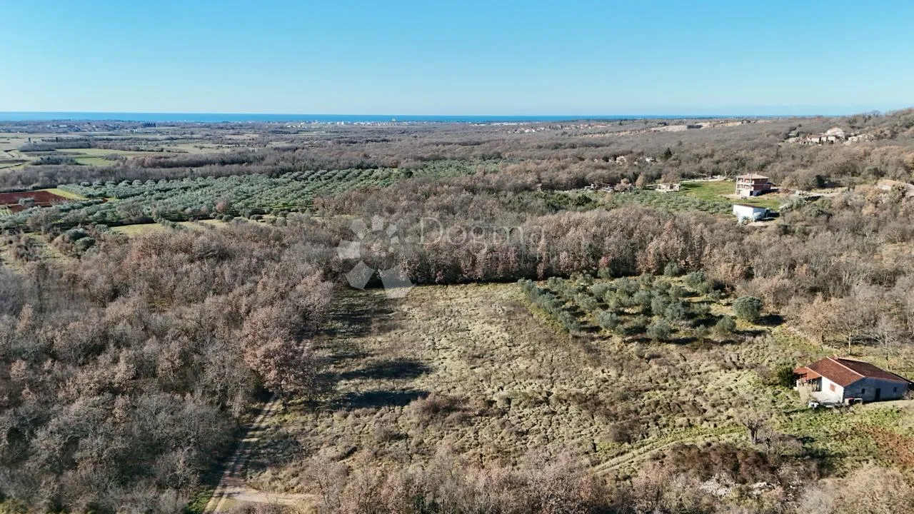 umag, materada, zemljište s dozvolom, 2700m2 - slika 10