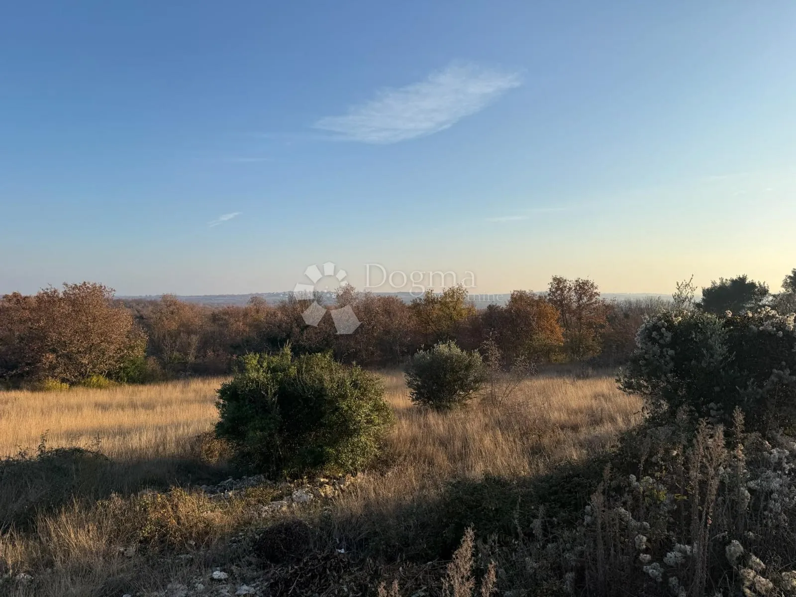 sveti lovreč, građevinsko zemljište 1.520m2-prilika - slika 3