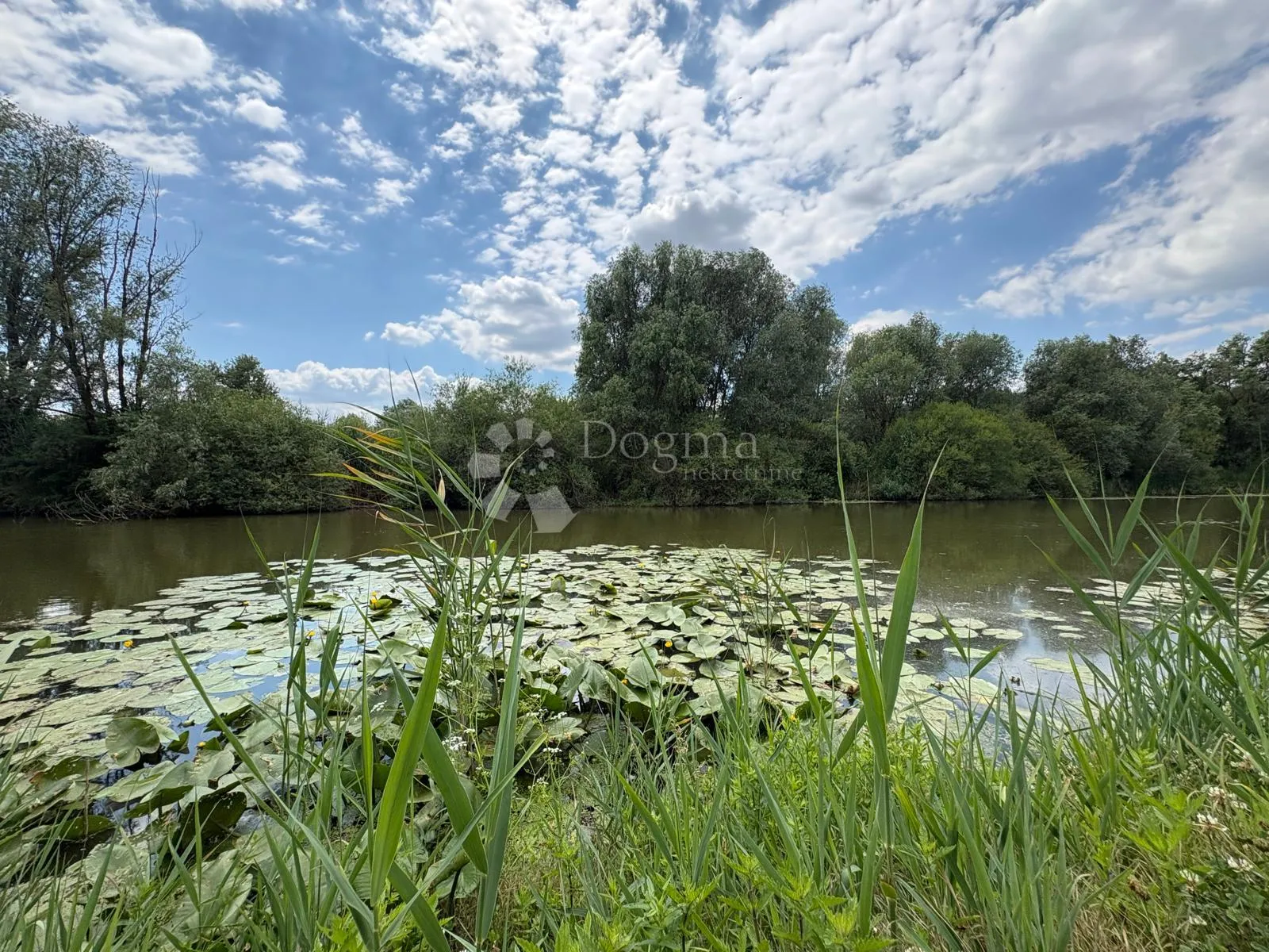 atraktivno imanje s ribnjakom i turističkim potencijalom - slika 27