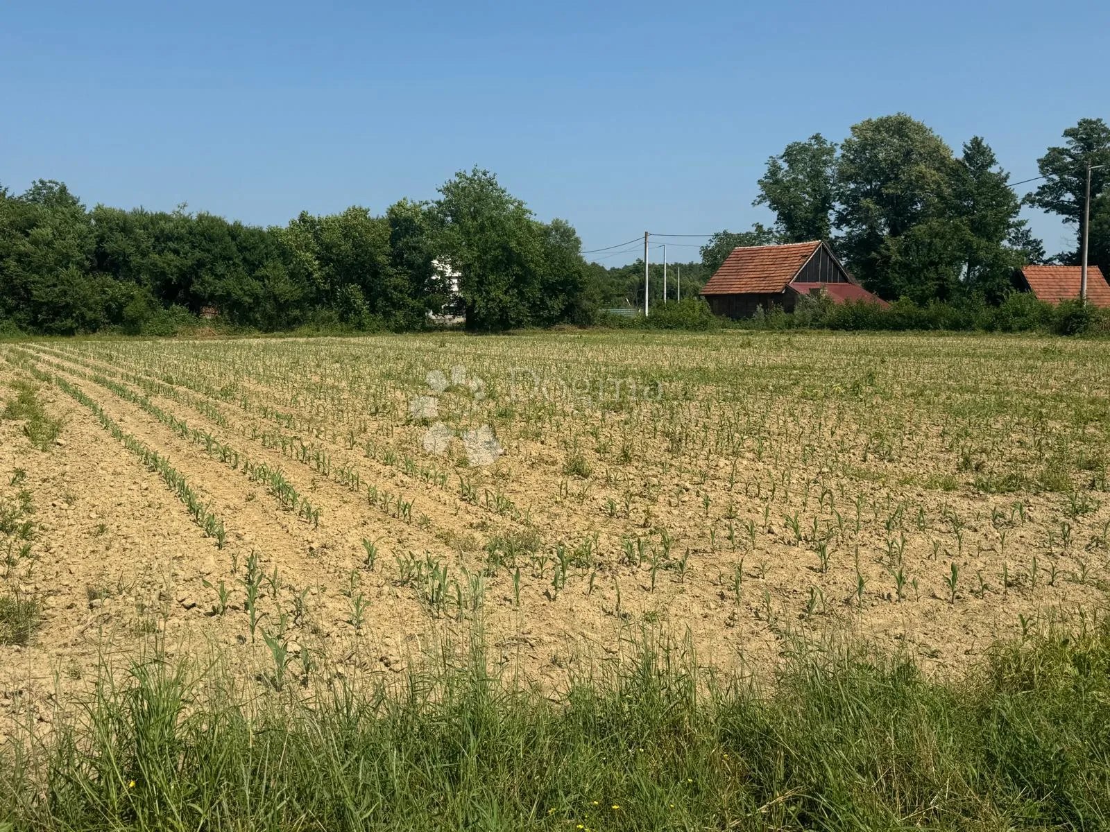 veliko imanje 39.323 m² – mir, priroda i potencijal! - slika 15
