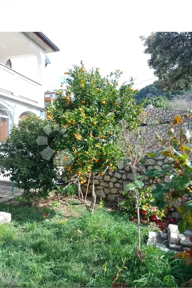 apartmanska kuća - slika 24