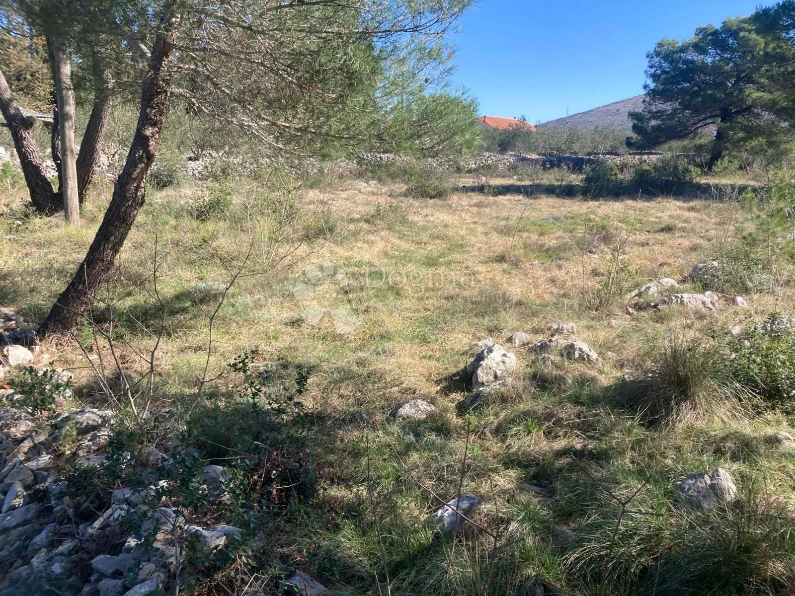 građevinsko zemljište bilice, 7.248 m2 - slika 5
