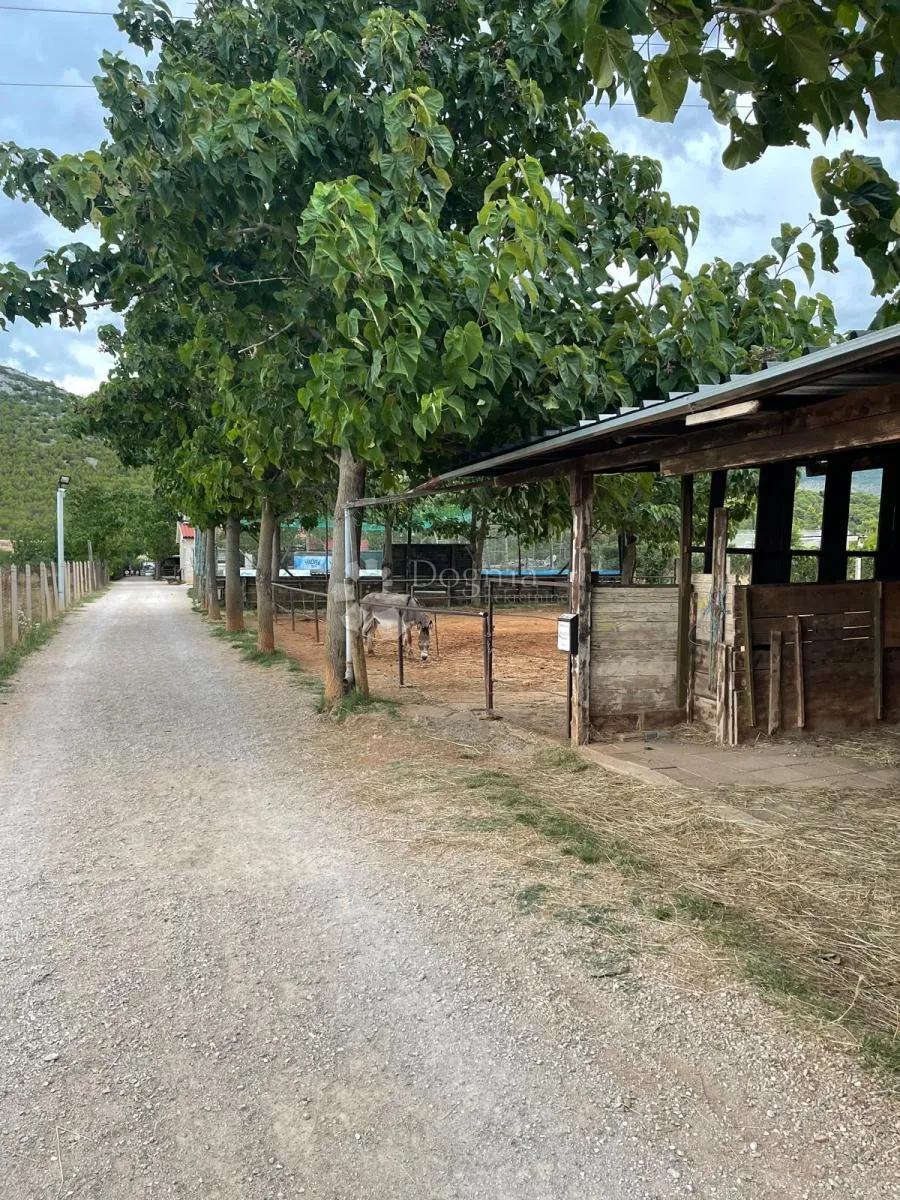 farma u dubravi kod šibenika - slika 9