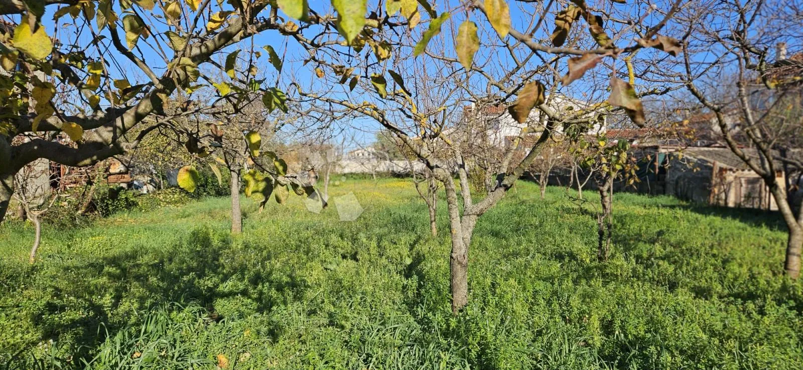 vodnjan - građevinsko zemljište s gospodarskom zgradom - slika 1