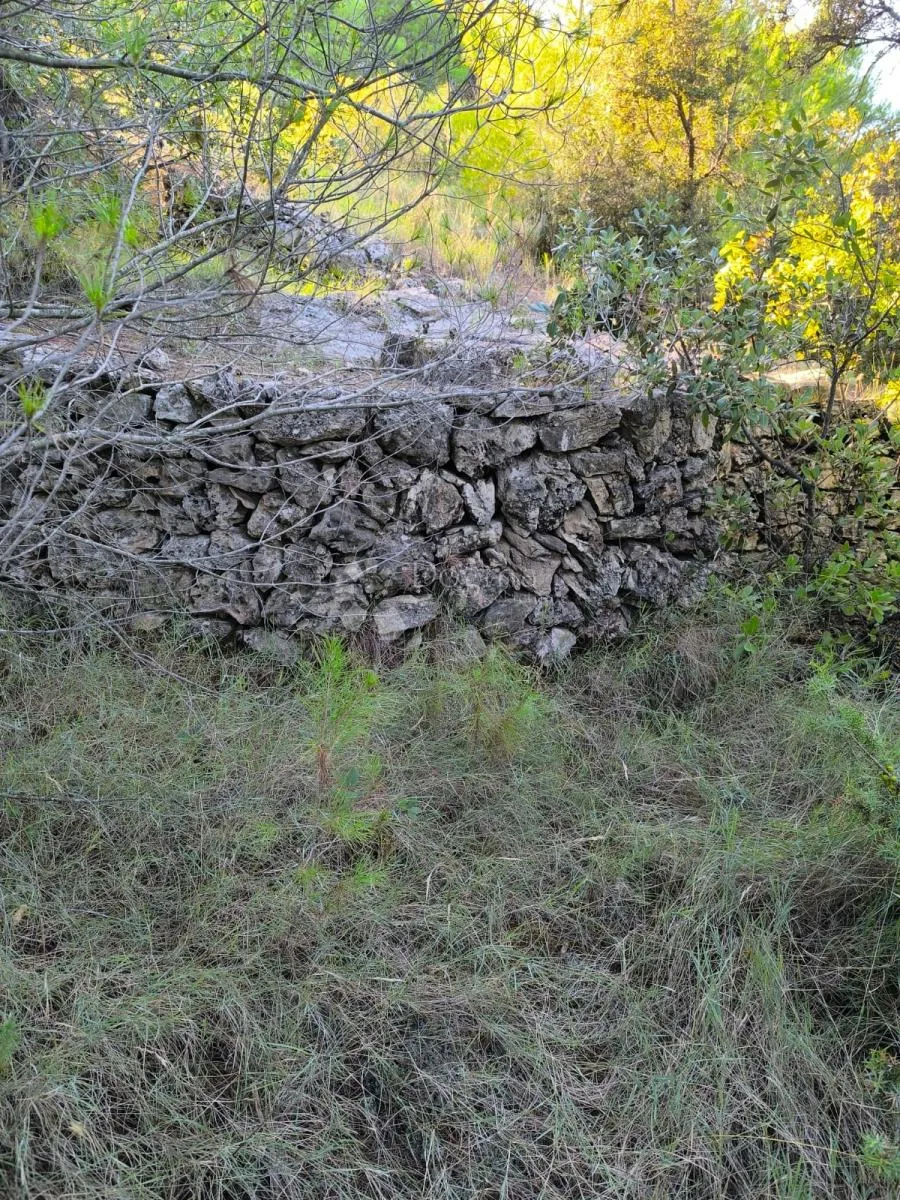 poljoprivredno zemljište - slika 4