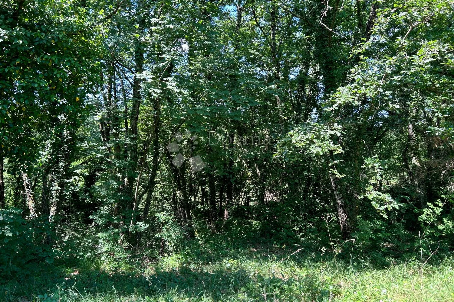 žminj – zemljište na privlačnoj lokaciji - slika 16