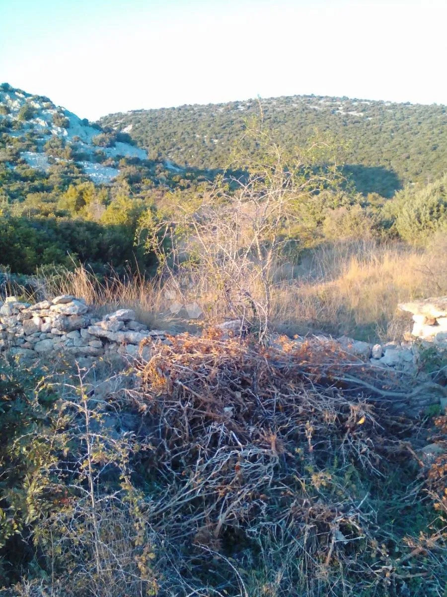 vransko jezero - poljoprivredno zemljište 3330m2 - slika 7