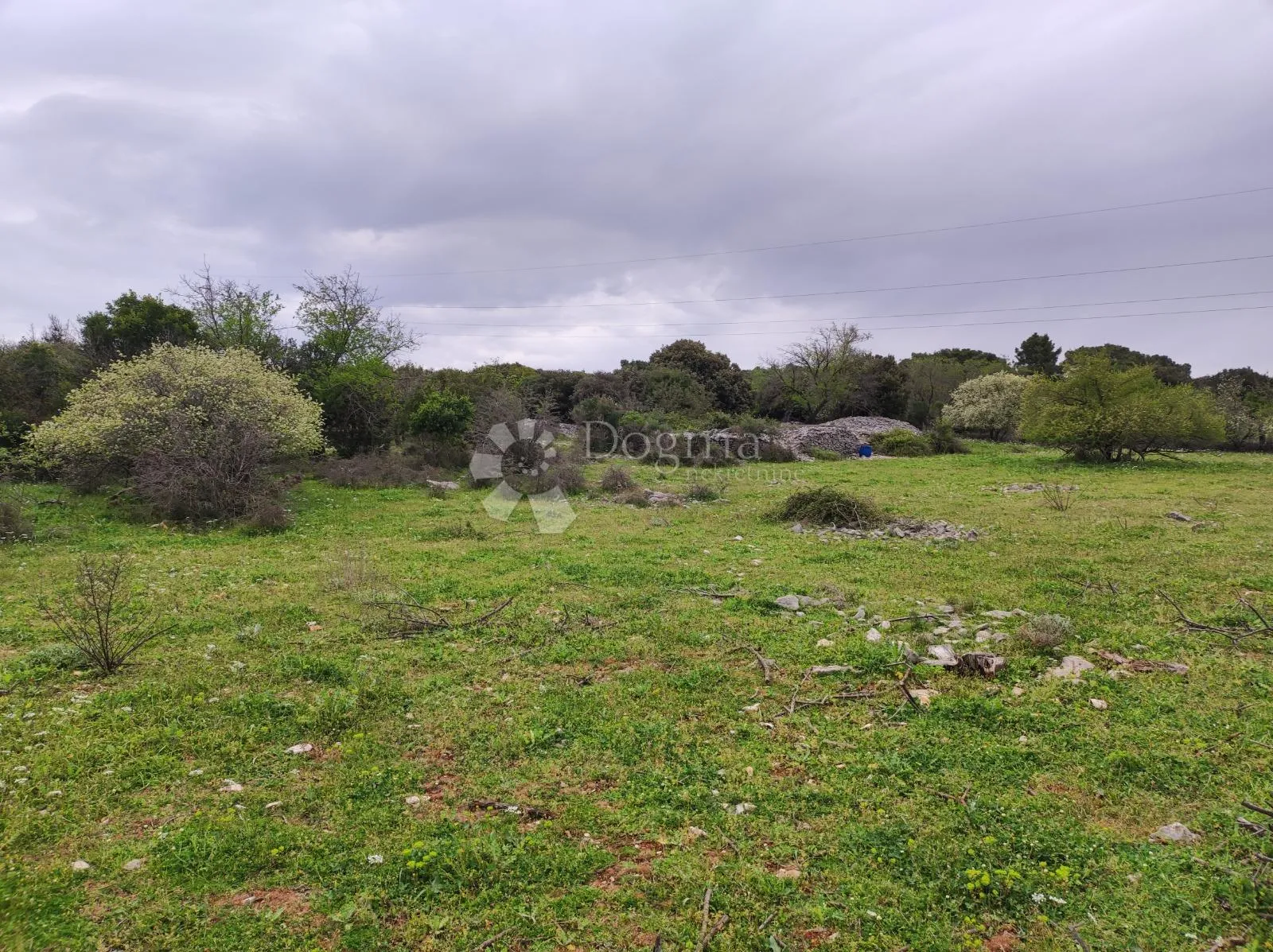 brač, selca – poljoprivredno zemljište 11.274 m² - slika 3