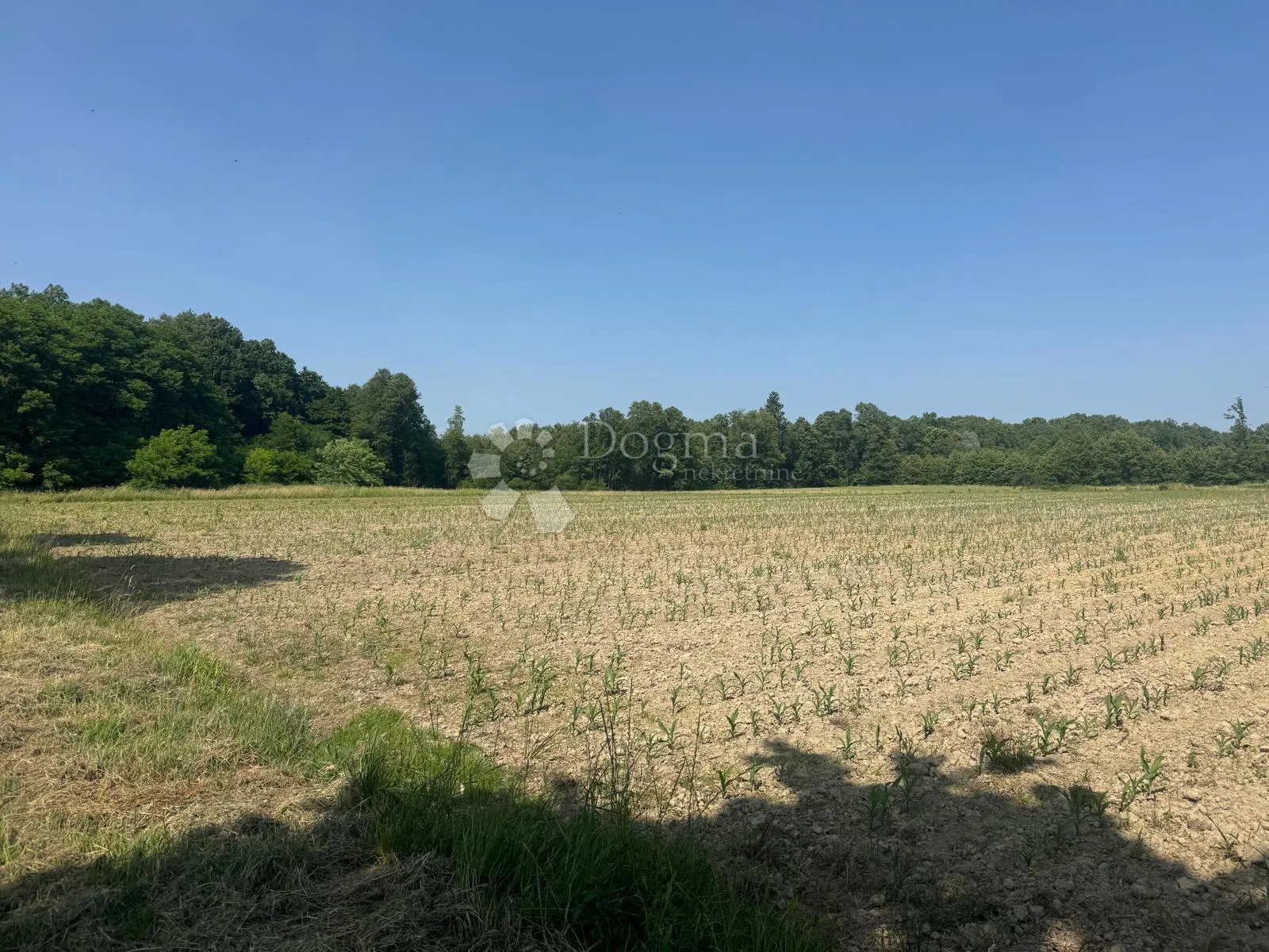 veliko imanje 39.323 m² – mir, priroda i potencijal! - slika 24