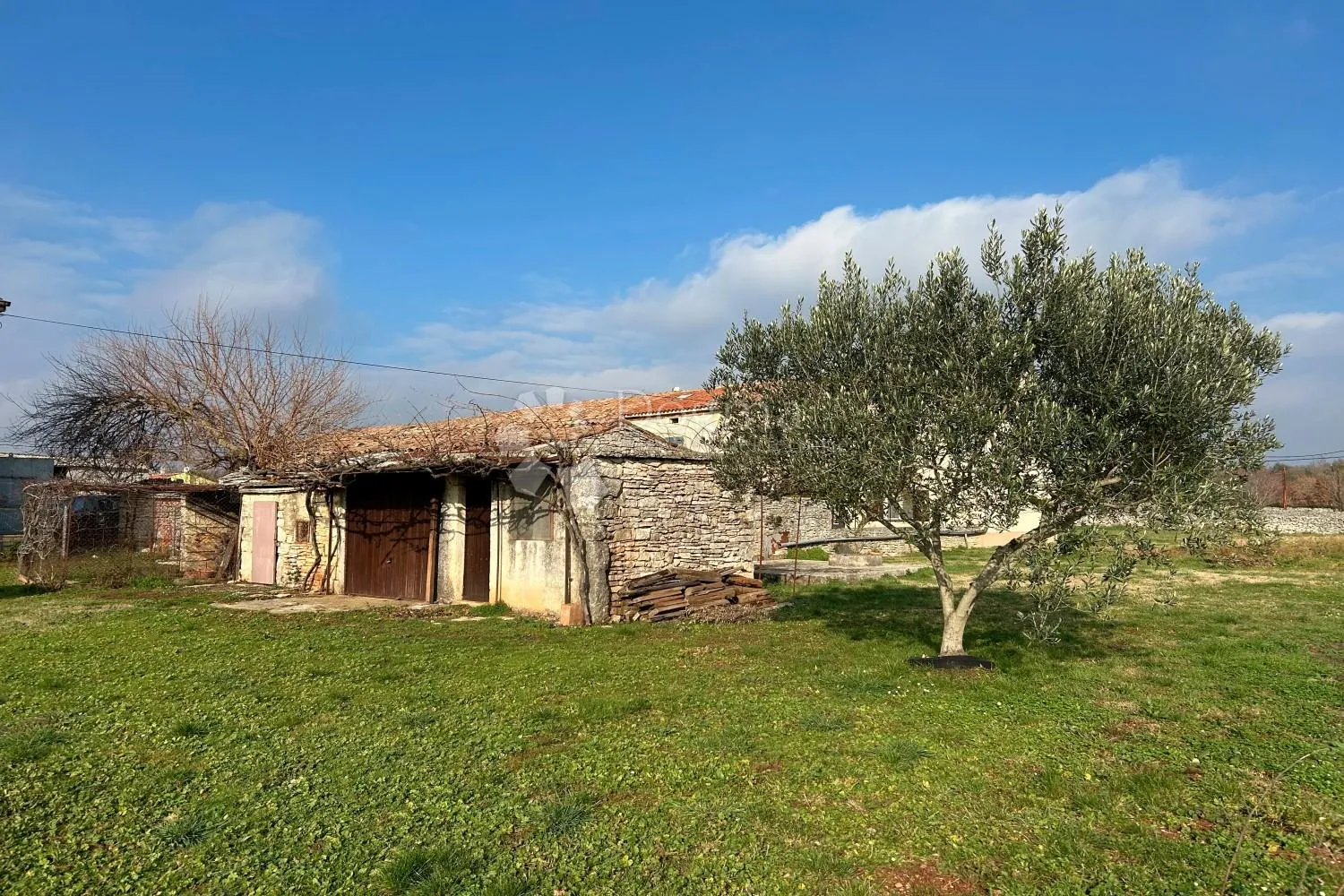 vodnjan – kamena kuća s pomoćnom zgradom, velika parcela, maslinik - slika 40