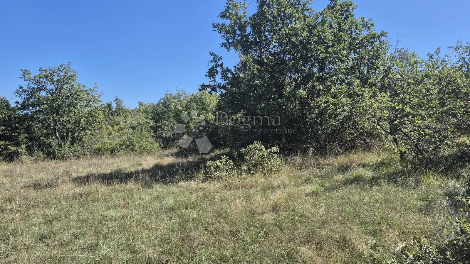 poljoprivredno zemljište nedaleko istarskog ipsilona 2913 m2 - slika 6