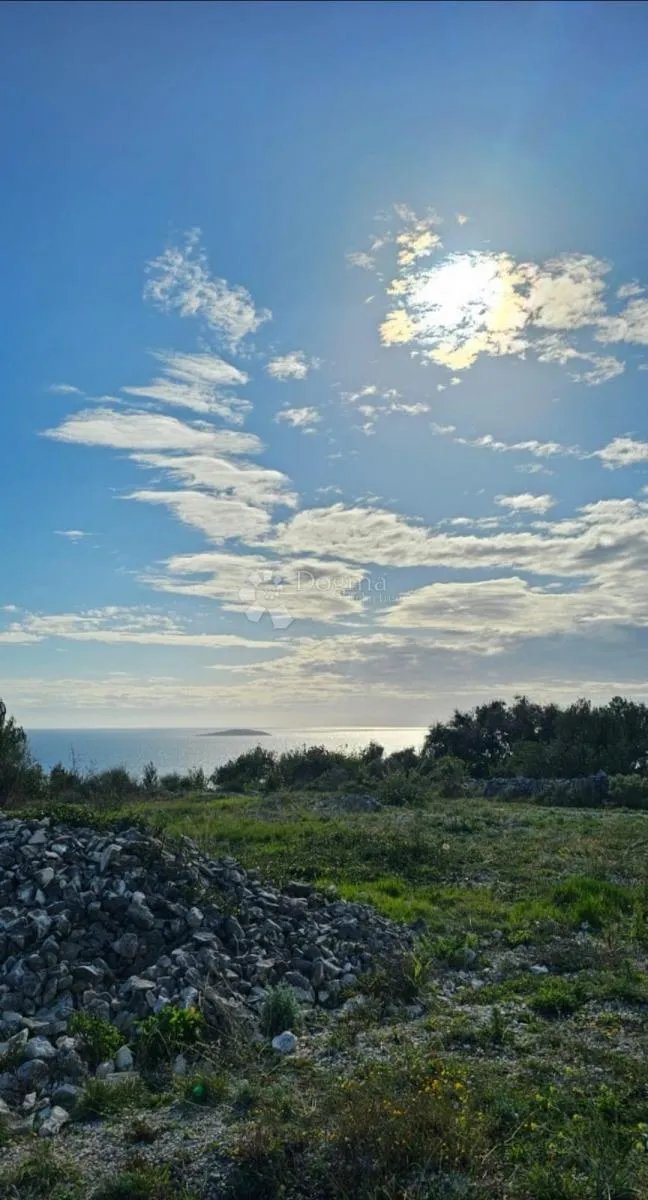 primošten, maslinik s pogledom na more - slika 6
