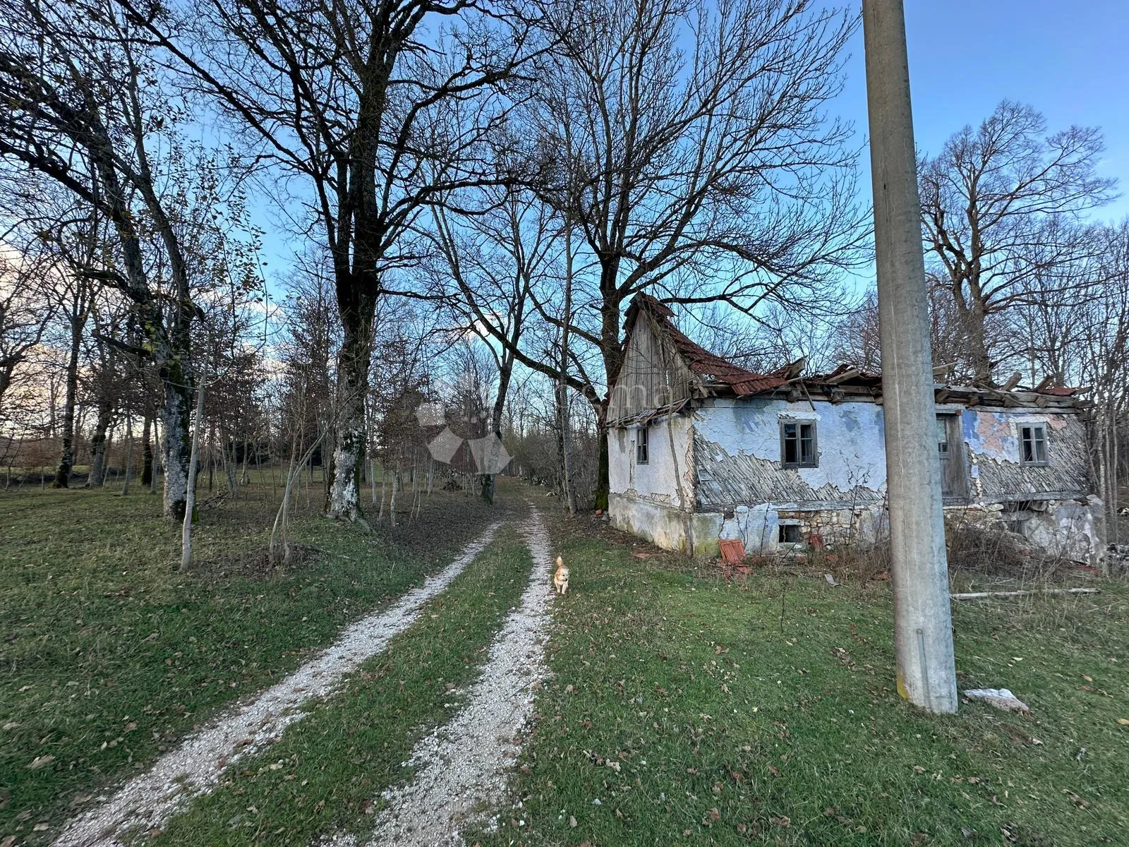 lipe prodaje se građevinsko zemljište sa postojećim objektom - slika 4