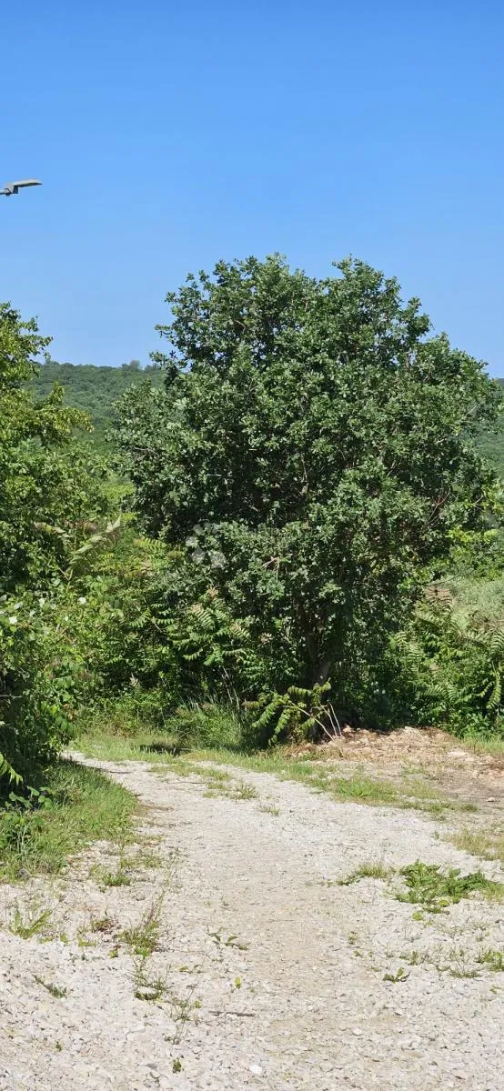 velika parcela nadomak građevinske zone - slika 4