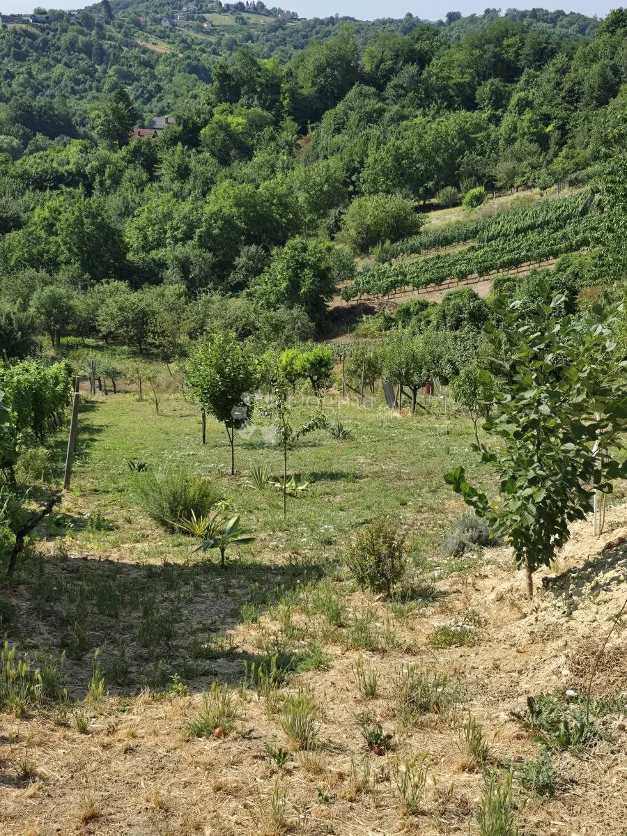 kuća za odmor u vrtlinovcu - slika 44
