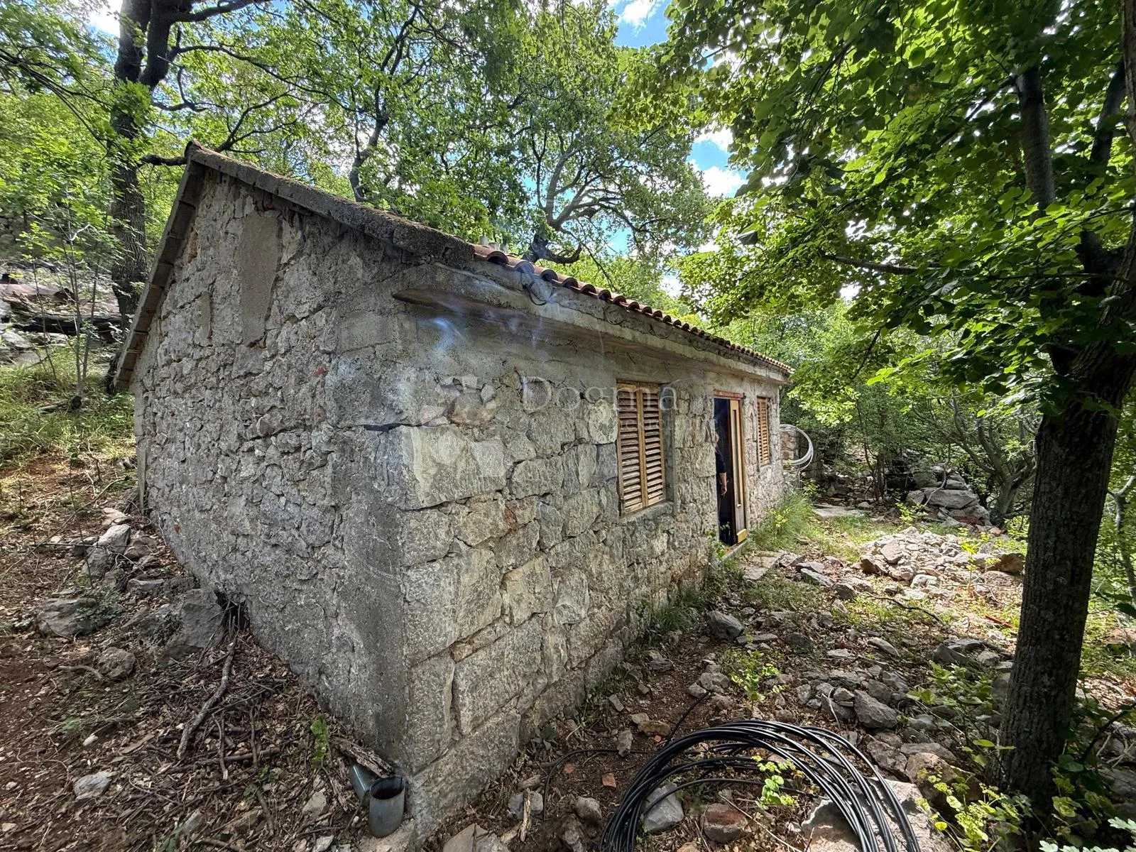 egzotična endemska kuća osama + zemlja - slika 2