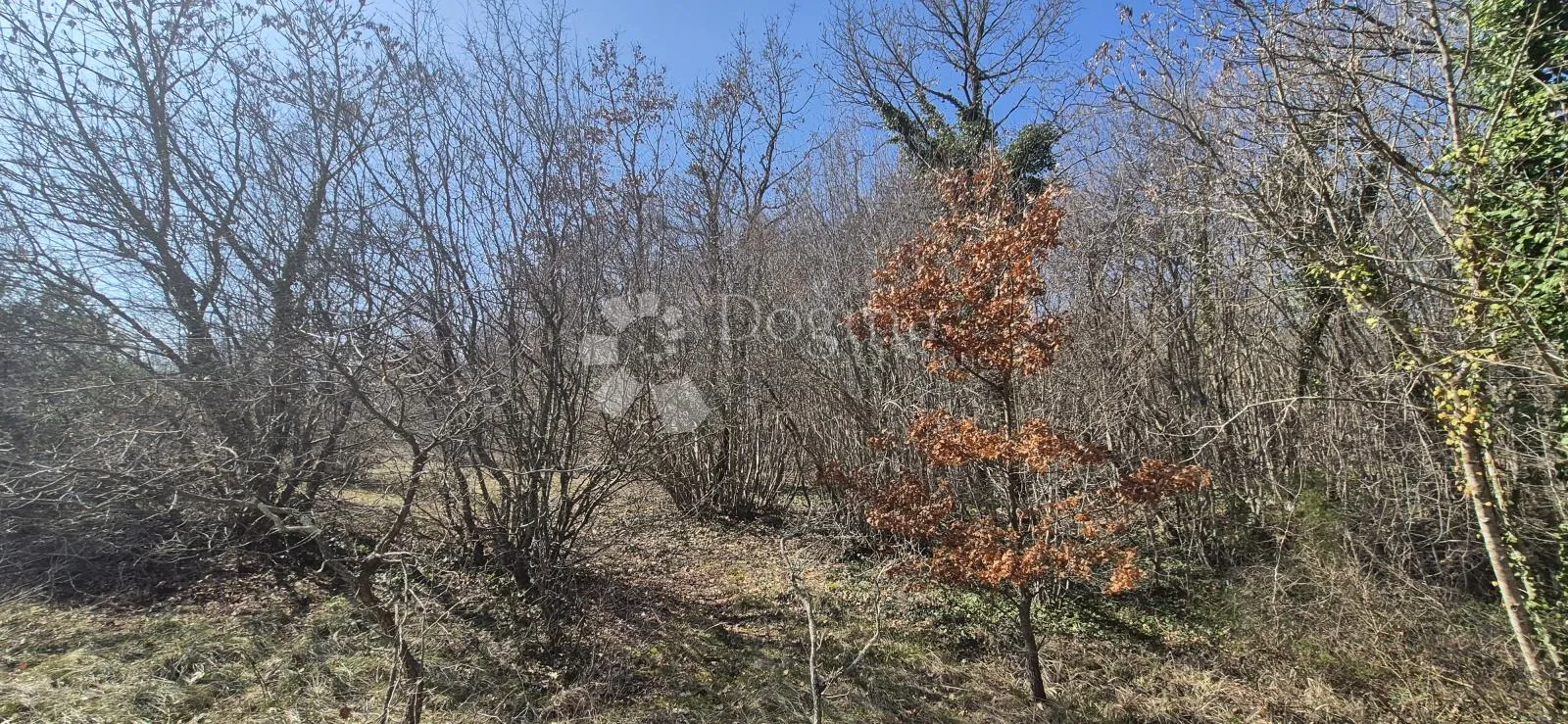 poljoprivredno zemljište površine 7962 m2 - slika 22
