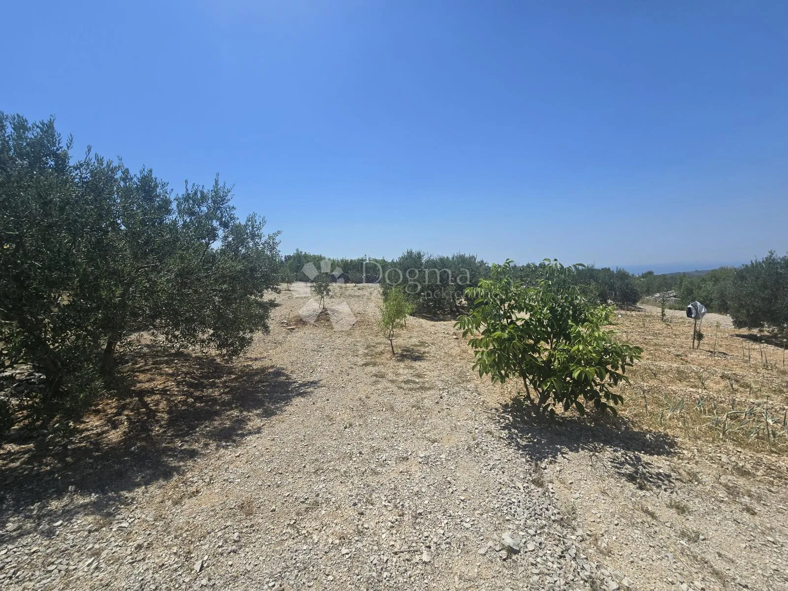 primošten, vadalj - građevinsko zemljište 1256 m² - slika 6