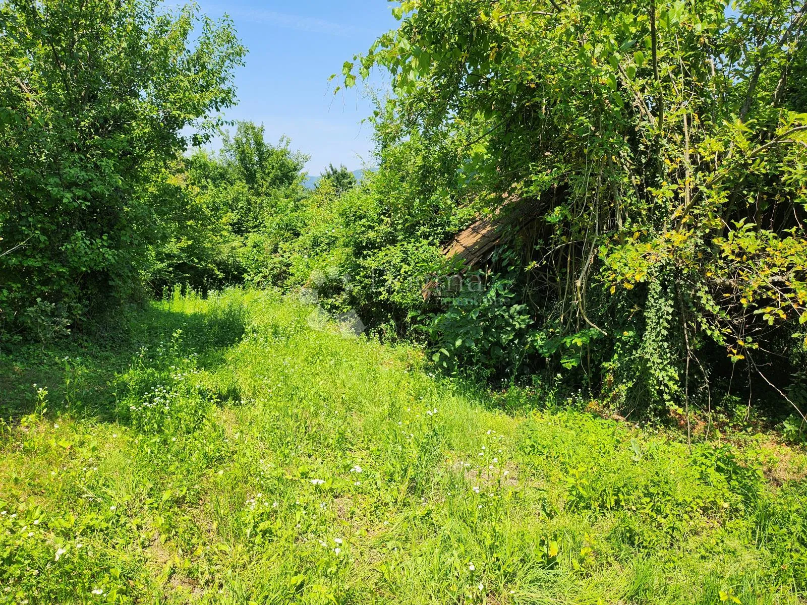 36.192m² zemljišta, šuma i oranice po atraktivnoj cijeni! - slika 9