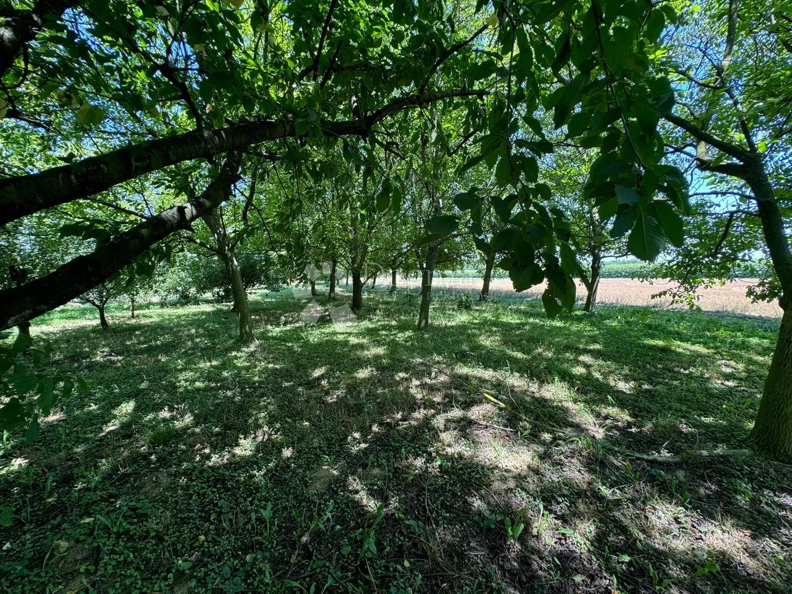 voćarska kućica – vaša oaza mira u prirodi - slika 8