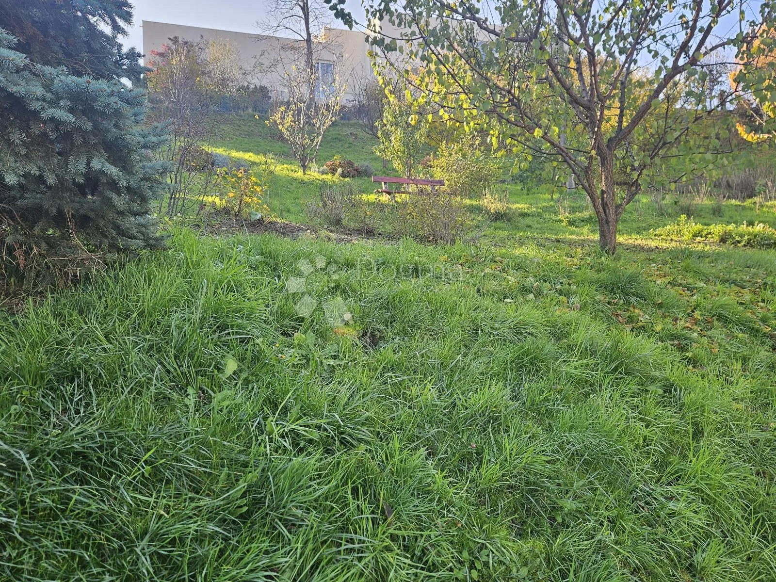 pogled govori više od riječi - slika 22