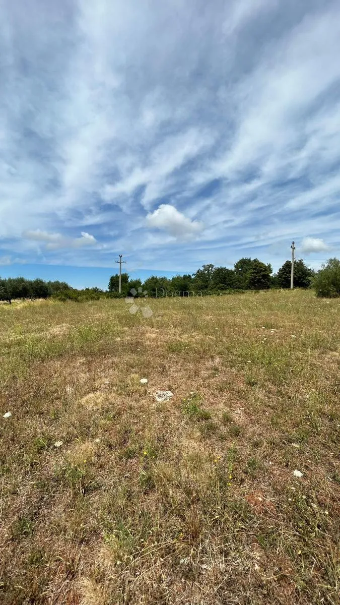prilika građevinsko 1049m2 - sv.lovreč - slika 2
