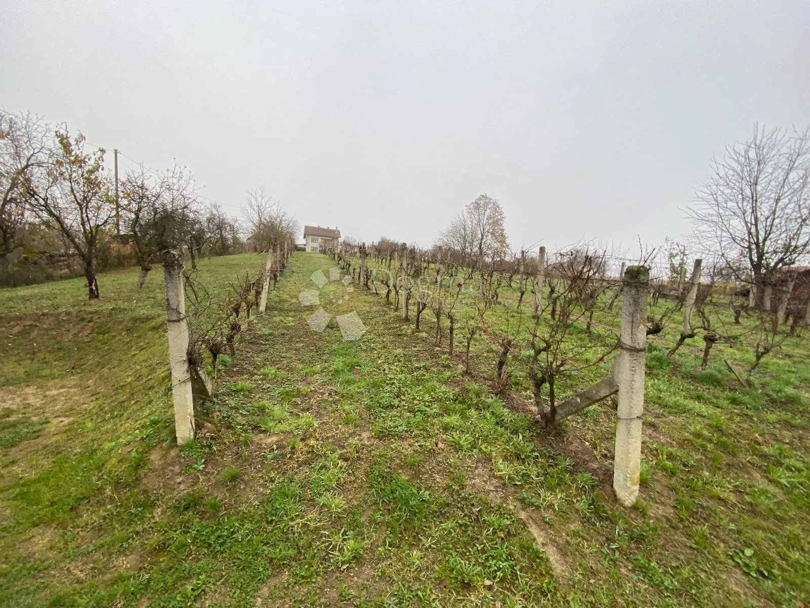 teren sa objektom za obnovu ili rušenje 1115m2 - slika 3