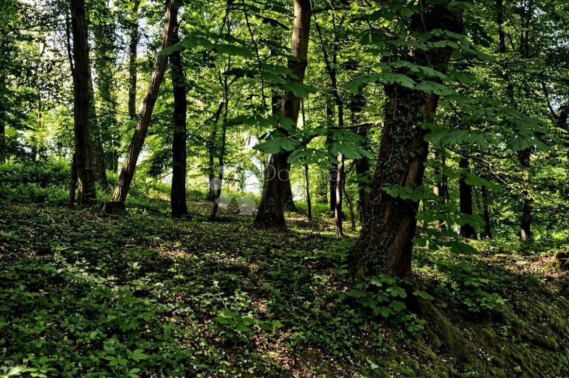 poljoprivredno zemljište šuma i zelena zona - slika 2
