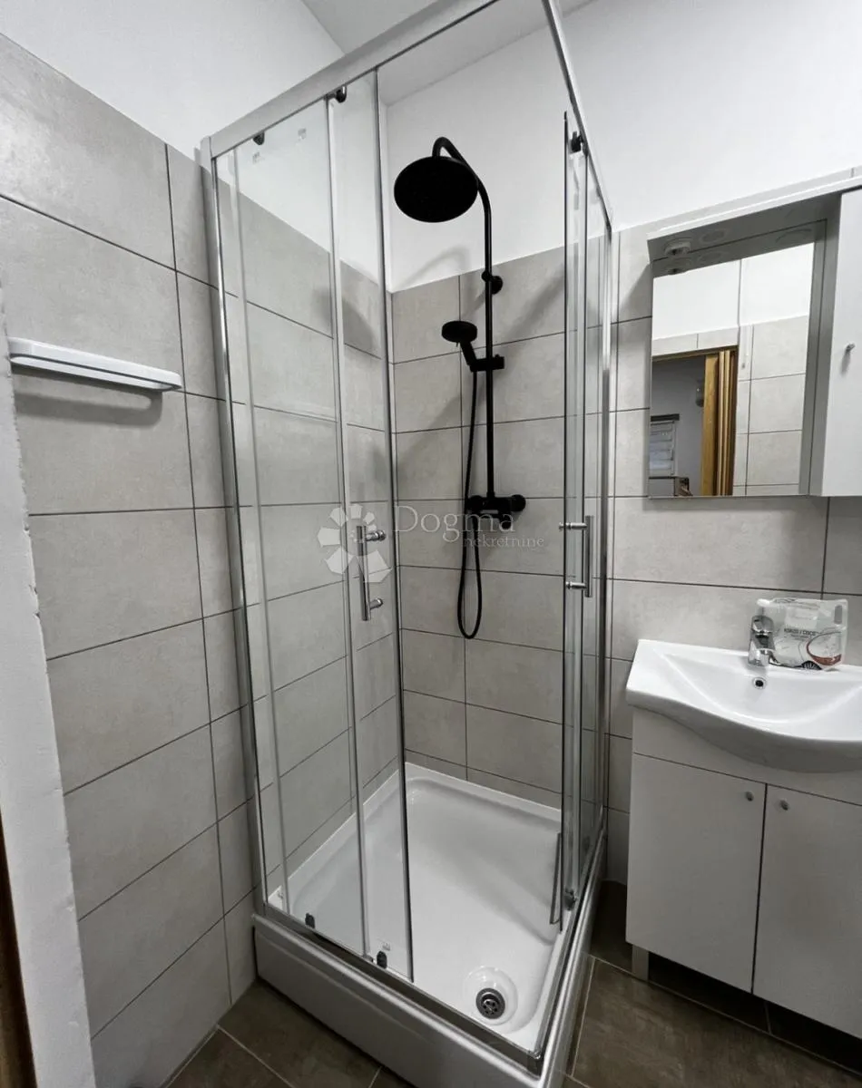 2 u 1 nekretnina: 3s+db stan + apartman s okućnicom - slika 12