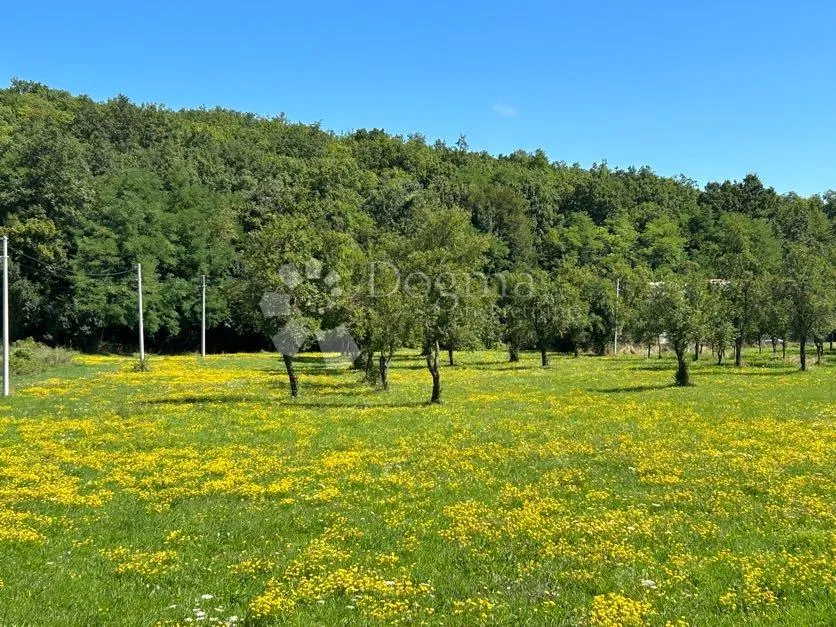 građevinsko zemljište pod šumom sunčana strana mušaluk - slika 2