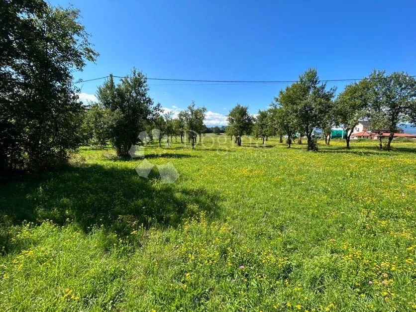 građevinsko zemljište pod šumom sunčana strana mušaluk - slika 6