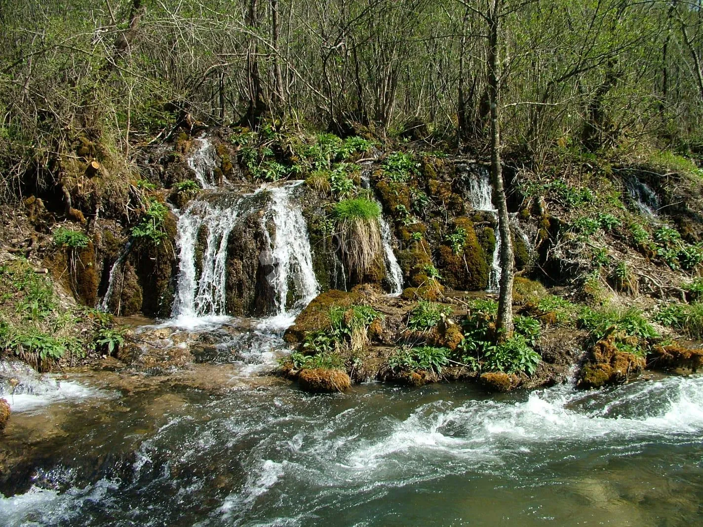 oaza u parku prirode - slika 4