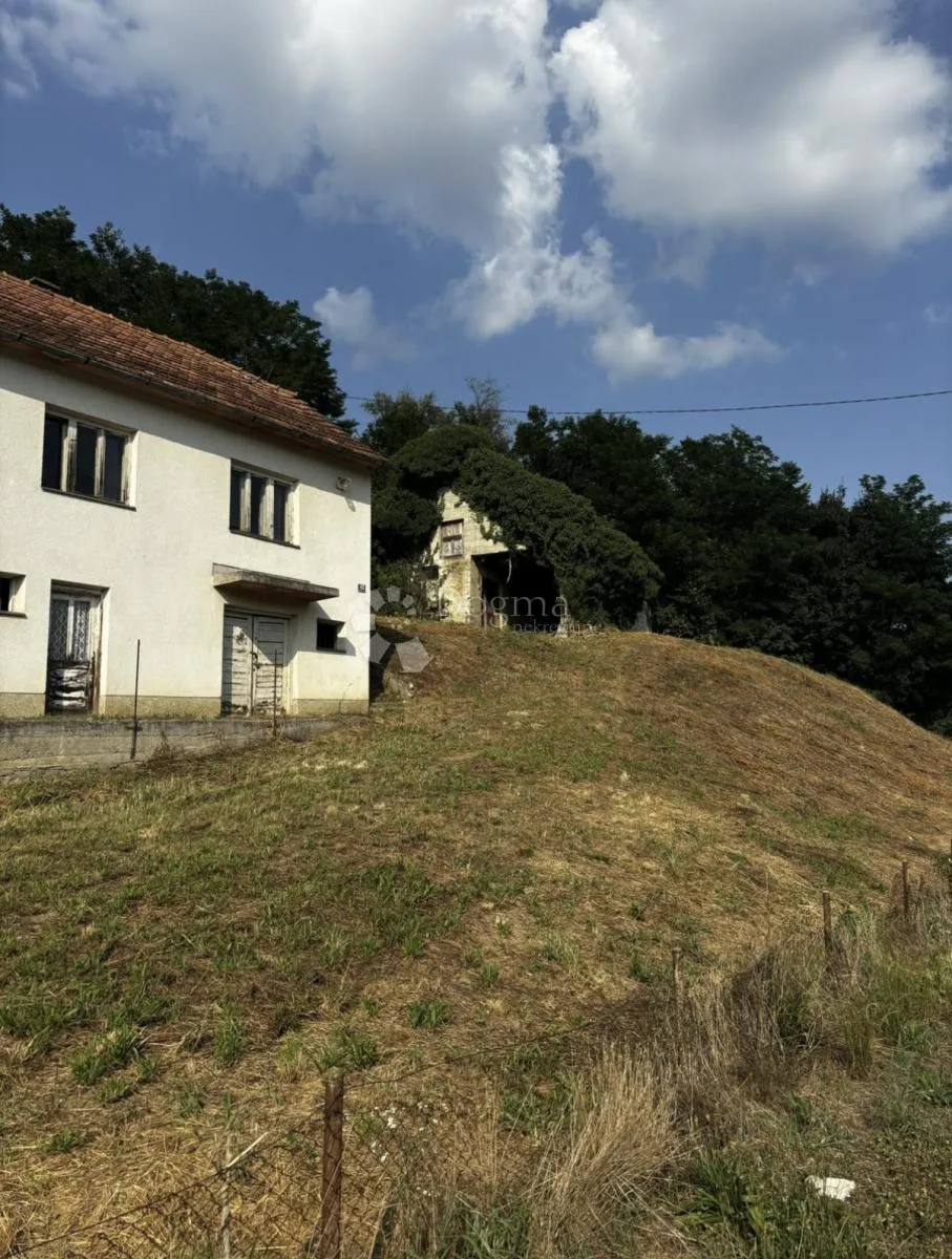 kuća za adaptaciju+ogromno imanje - 3831m² - slika 3