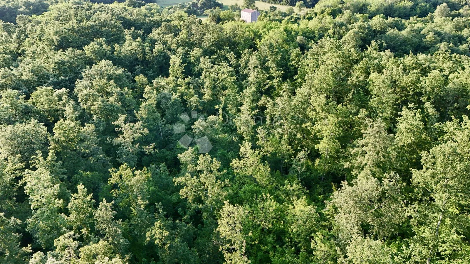 poljoprivredno zemljište / šuma u okolici labina - slika 7