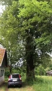 stvorite dom, opg i agroturizam iz snova – 15 minuta od rijeke korane - slika 13
