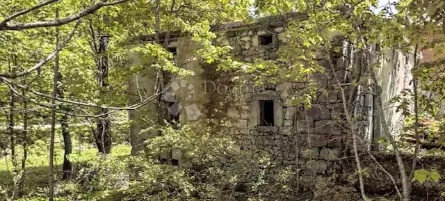 krmpote,ruševna starina - slika 2
